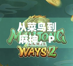 从菜鸟到麻神，PG麻将胡了攻略全解析，新手也能秒变高手！